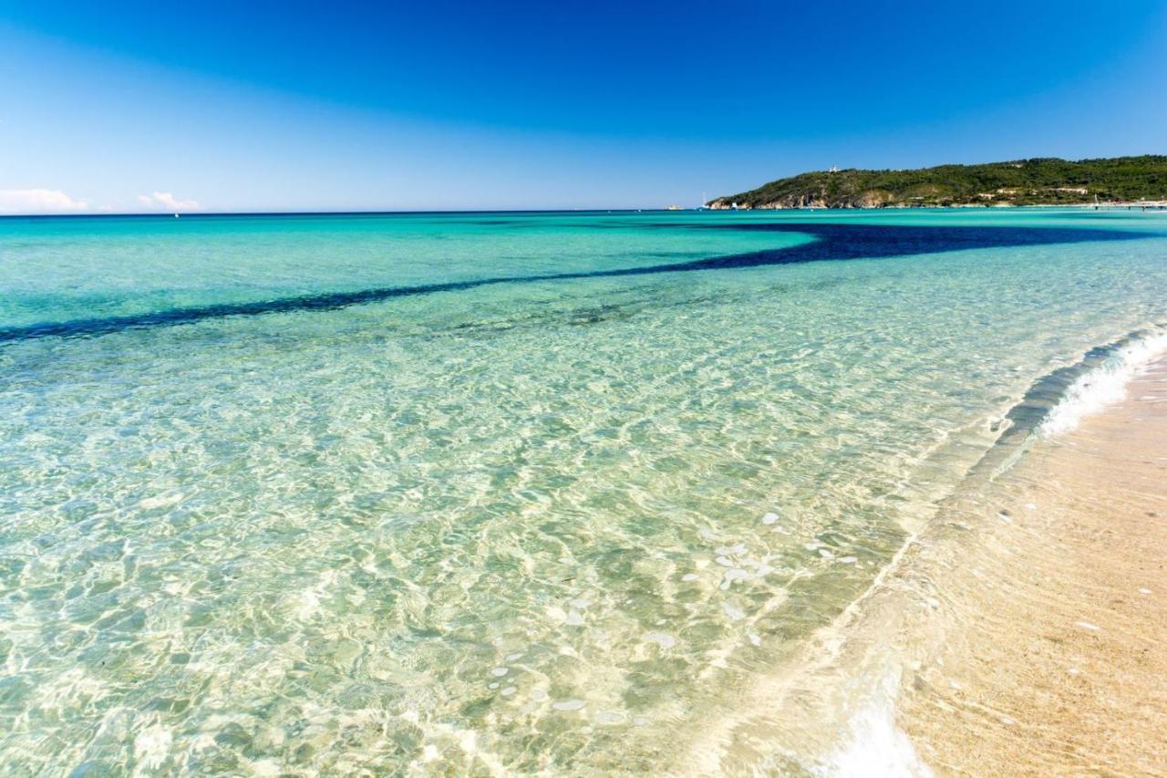 Le Terra-Cota 3 Ch Privees 10' Gare-Port Et Plage, Wfi, Cosy Toulon Dış mekan fotoğraf